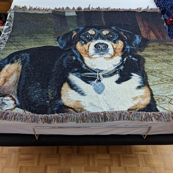 Mountain Bernese dog tapestry woven blanket - Picture 1 of 5